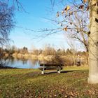 Waldsee im Januar