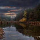 Waldsee im November