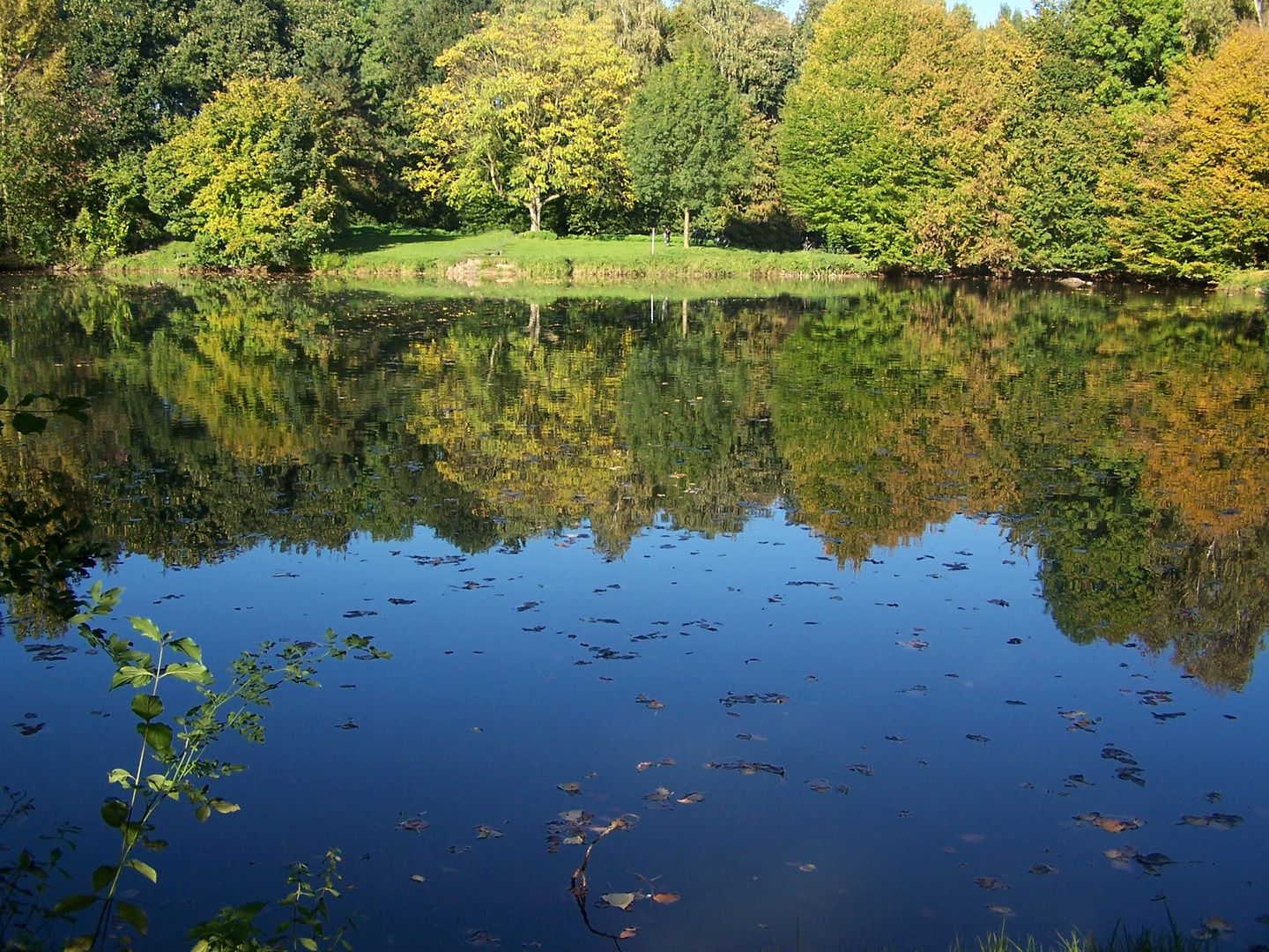 Waldsee im Park,Herbstzeit