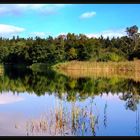 Waldsee im Spätsommer