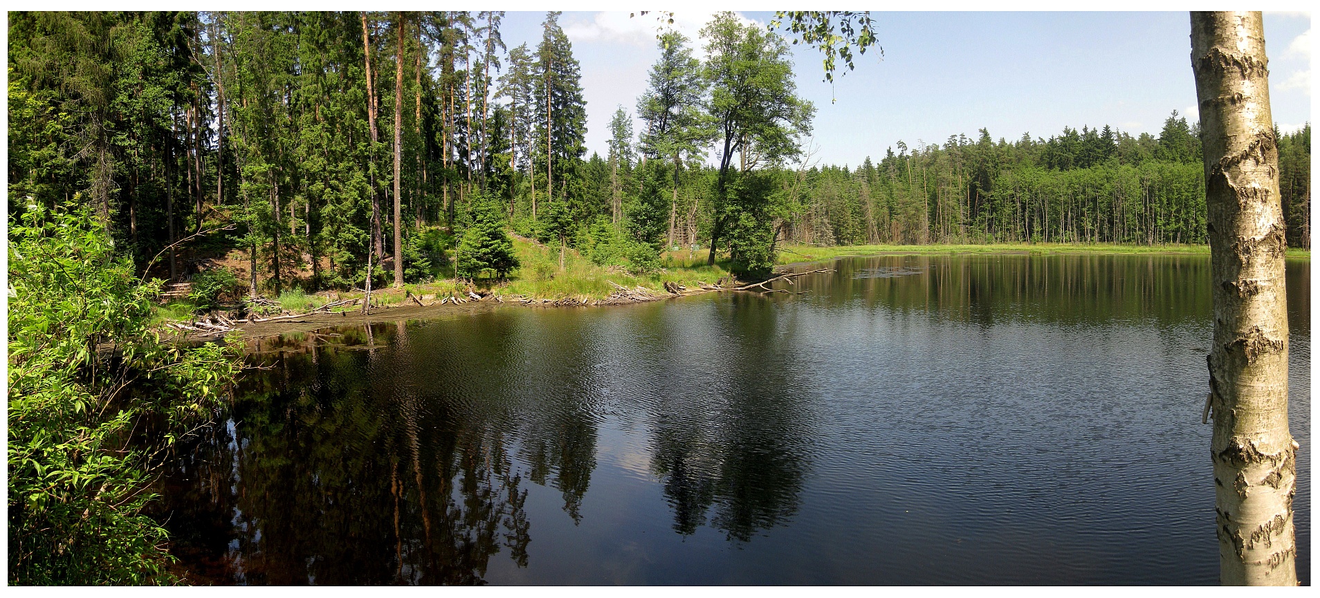 Waldsee im Steinwald