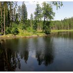 Waldsee im Steinwald