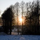 Waldsee in der Januarsonne