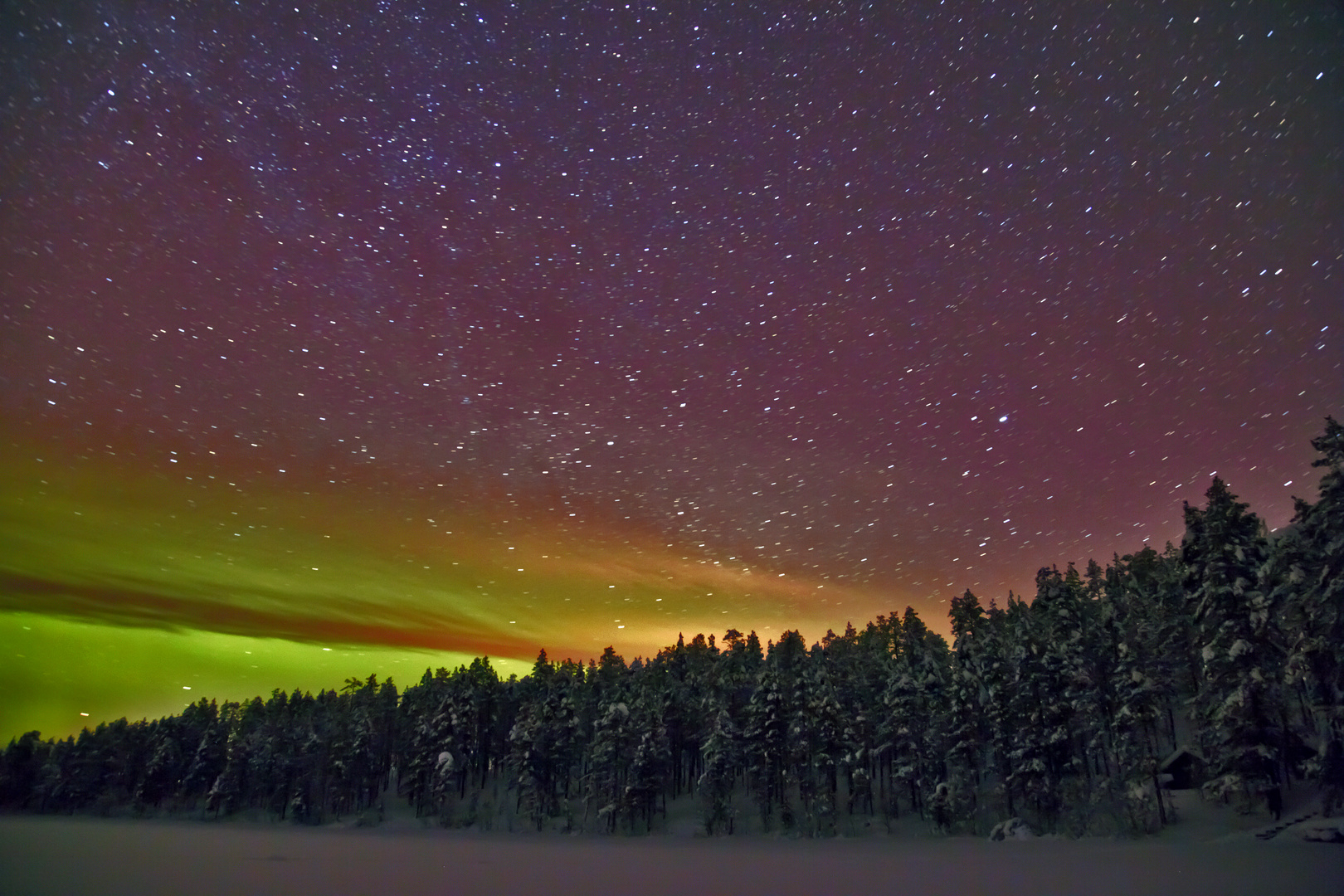 Waldsee in Finnland