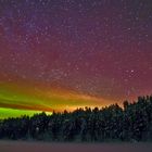 Waldsee in Finnland