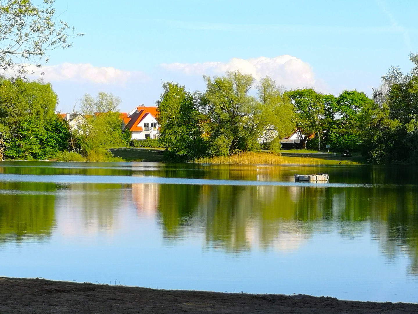 Waldsee in Forst