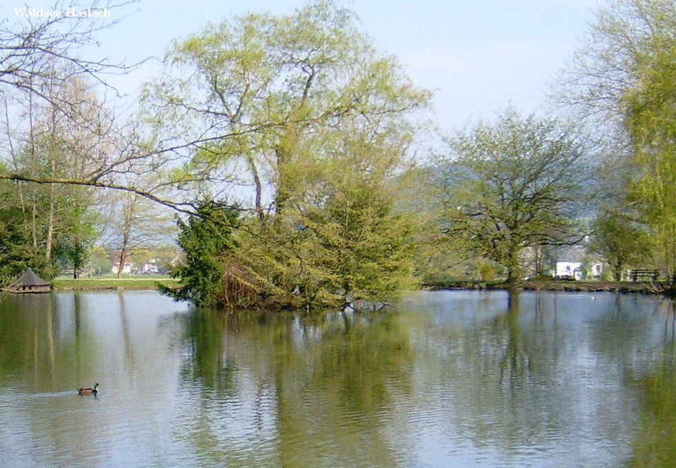 Waldsee in Haslach i.K.