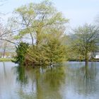 Waldsee in Haslach i.K.