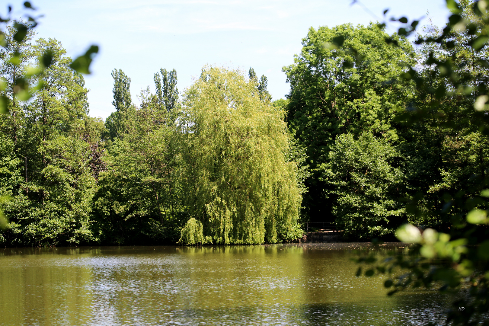 Waldsee in Hilsbach