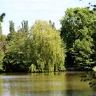 Waldsee in Hilsbach