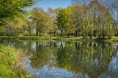 Waldsee IV -Krähenwinkel bei Hannover