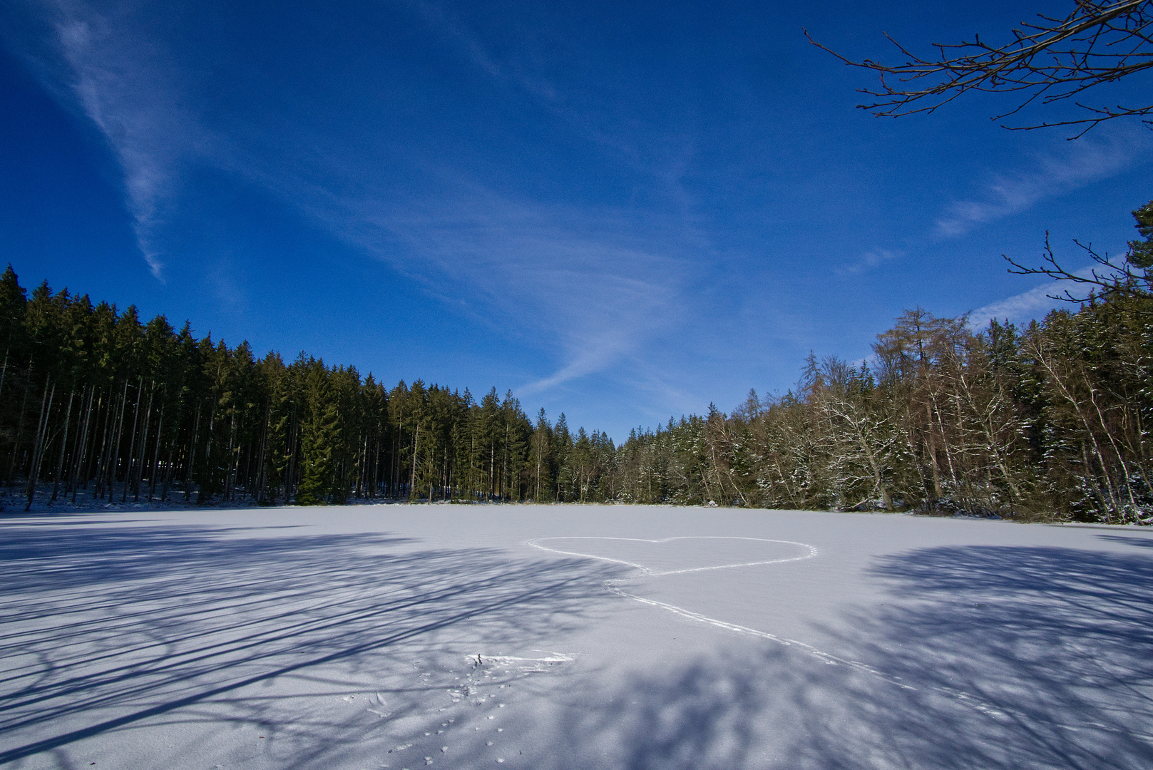 Waldsee mit Herz