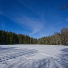 Waldsee mit Herz