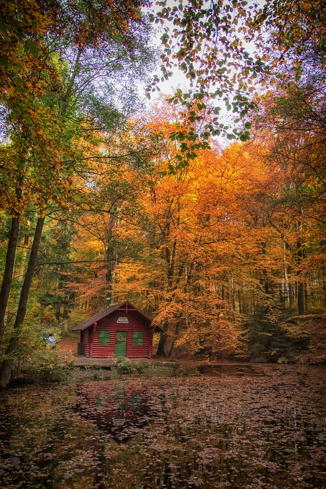 Waldsee mit Schutzhütte