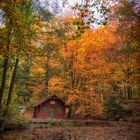 Waldsee mit Schutzhütte