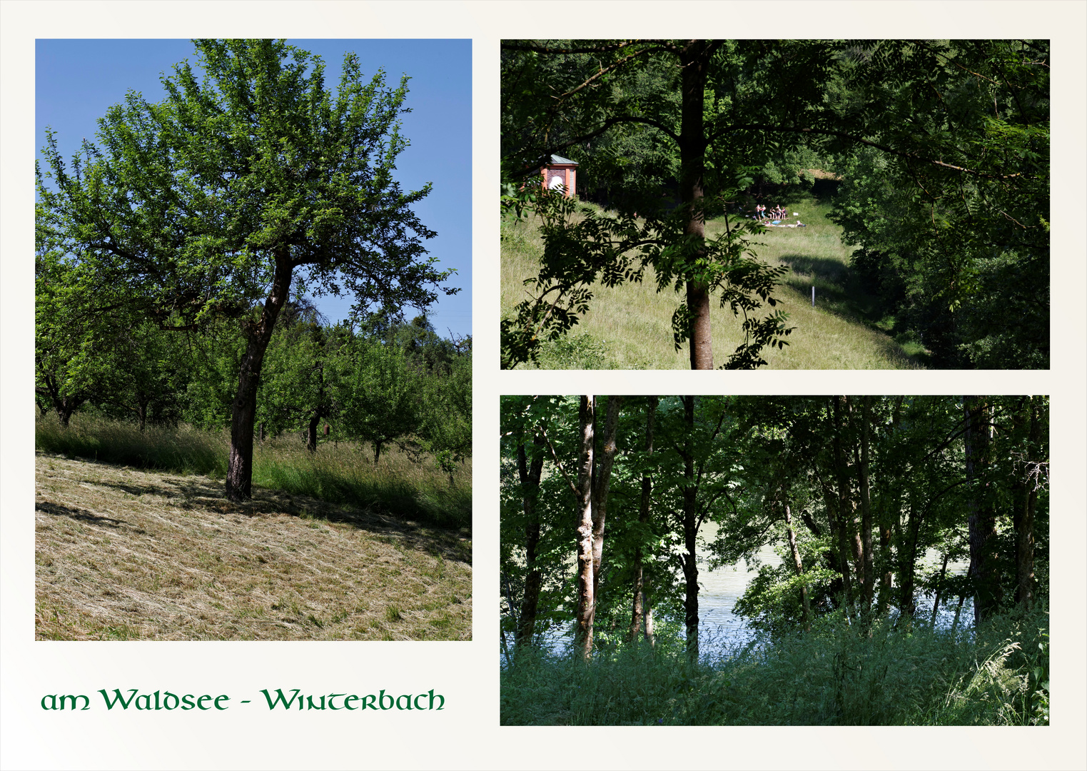 ...Waldsee - Winterbach 