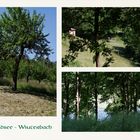 ...Waldsee - Winterbach 