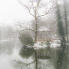 Waldsee, winterlich #1