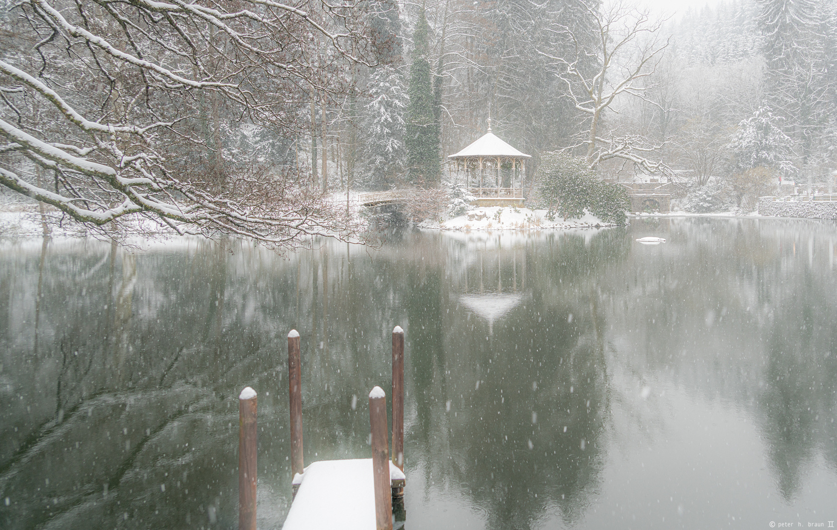 Waldsee, winterlich #2