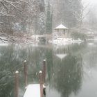 Waldsee, winterlich #2