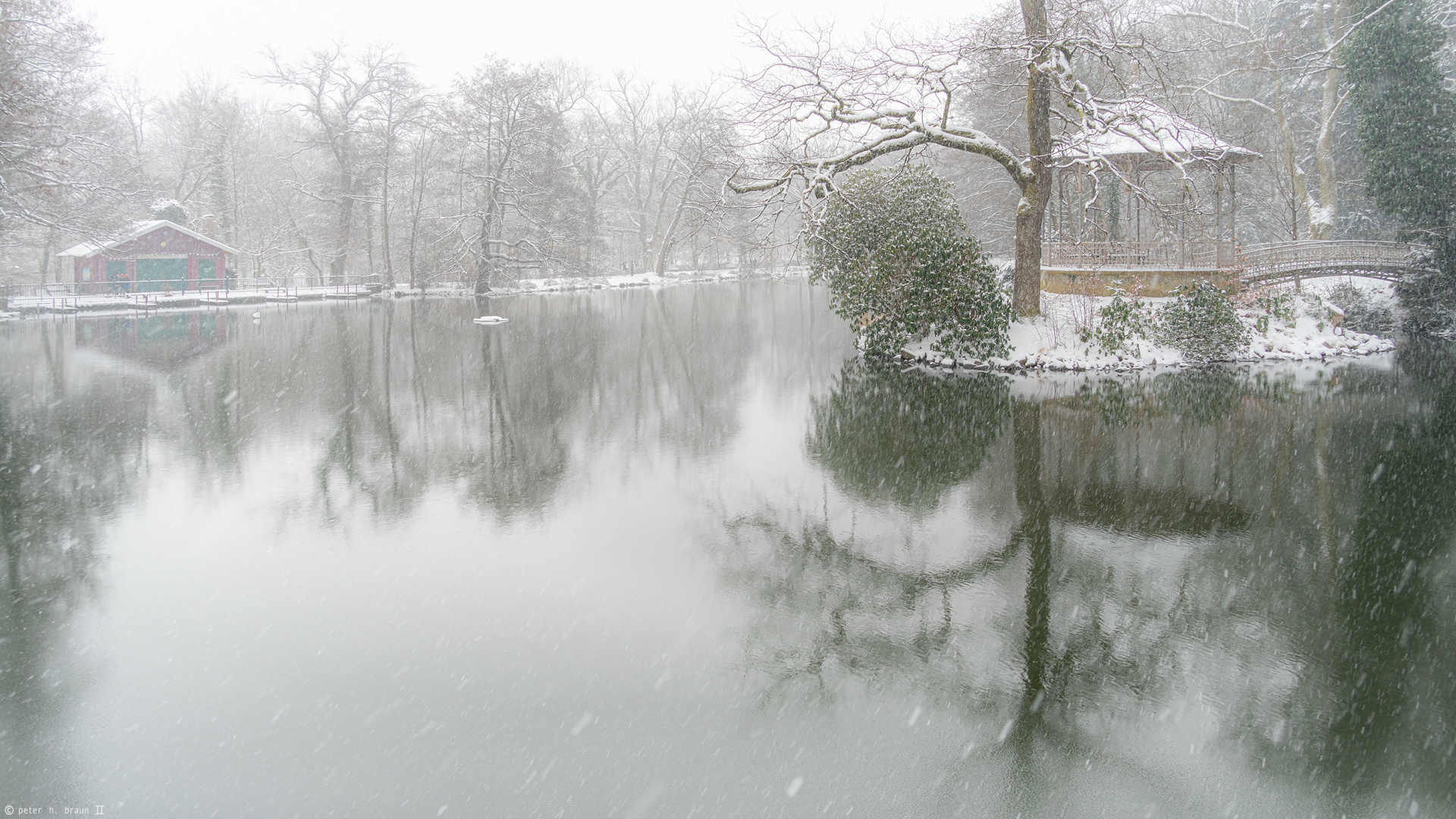 Waldsee, winterlich #3