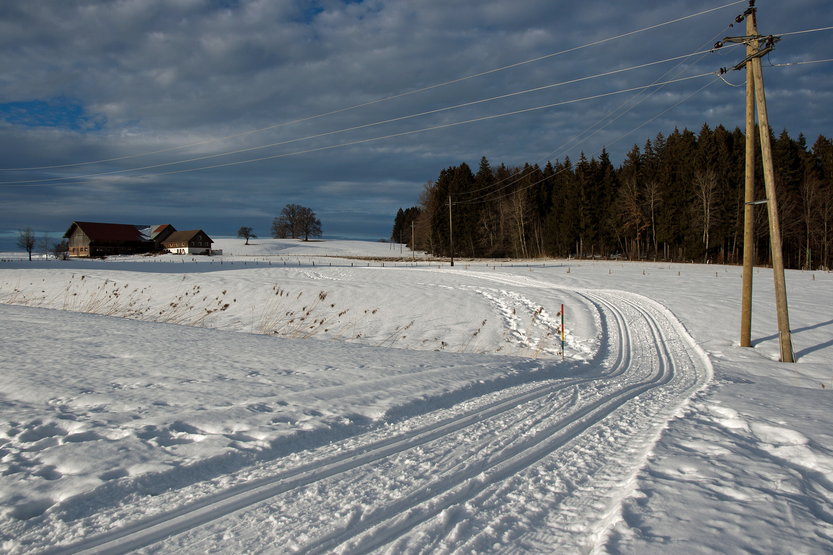 Waldseeloipe bei Lindenberg - Hochmoorloipe