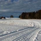 Waldseeloipe bei Lindenberg - Hochmoorloipe