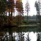 Waldseepanorama