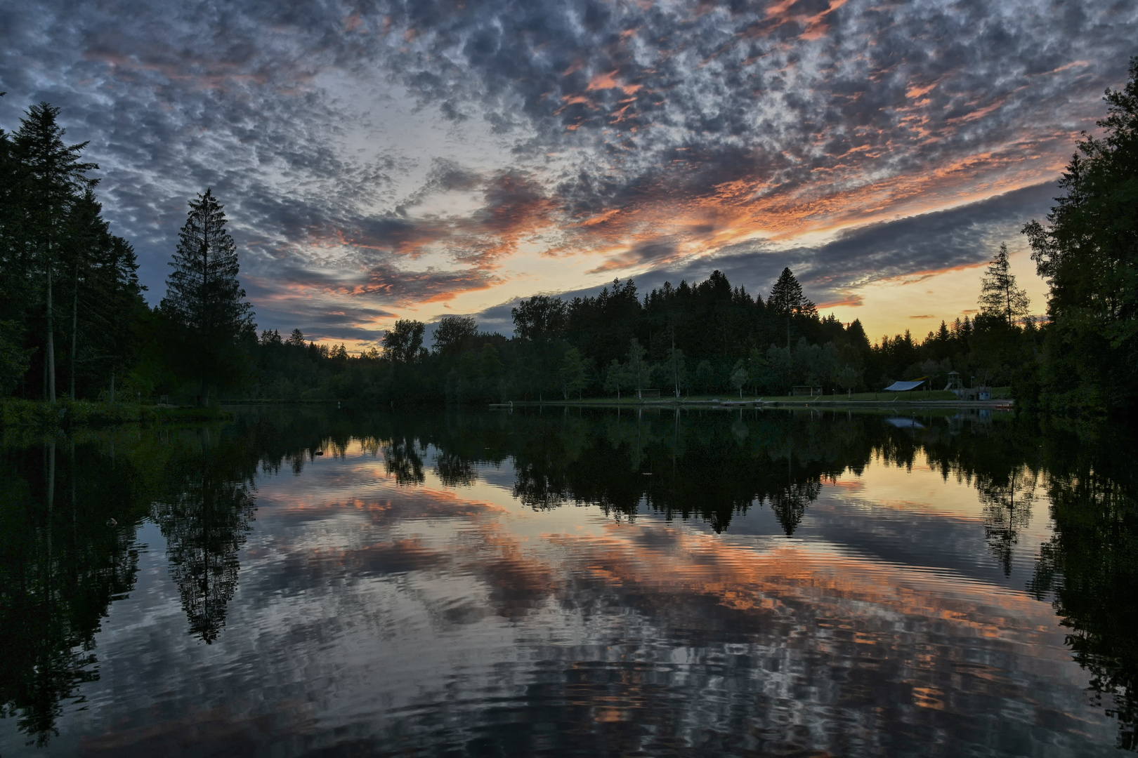 Waldseespiegelung