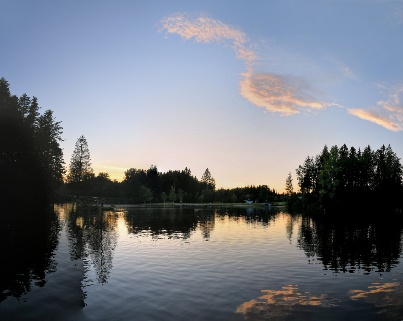 Waldseespiegelung