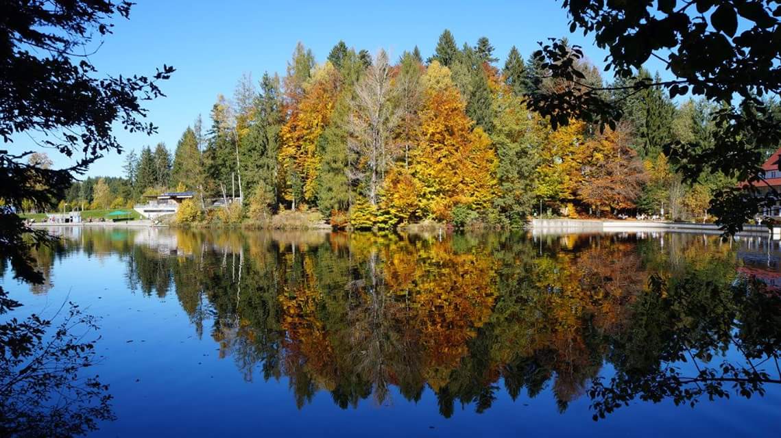 Waldseestimmung