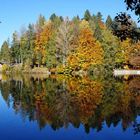 Waldseestimmung