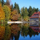 Waldseestimmung