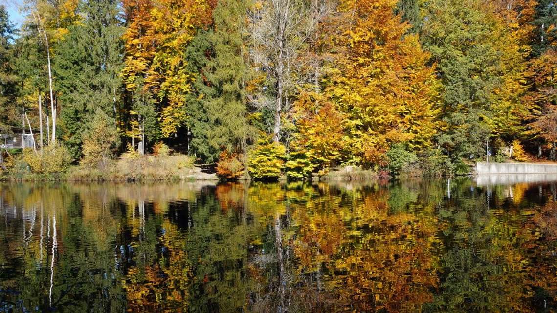 Waldseestimmung