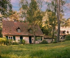 Waldsiedlung im Grunewald 