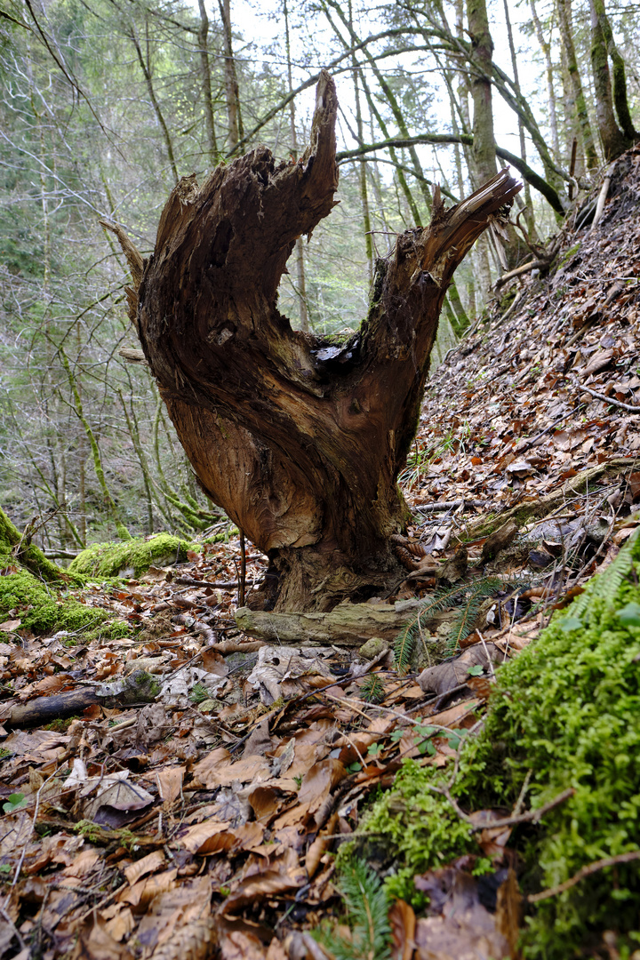 Waldskulptur