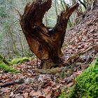 Waldskulptur