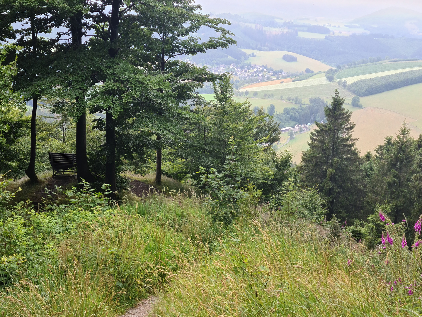 "Waldsofa" im Hochsauerland