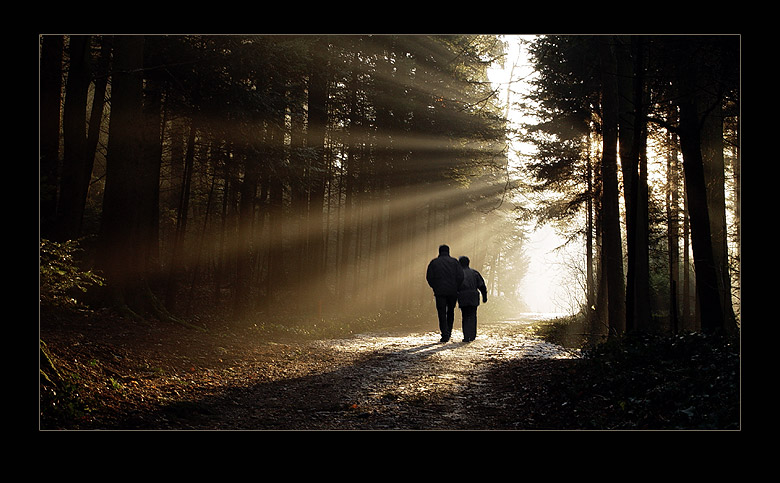 Waldspaziergang 1