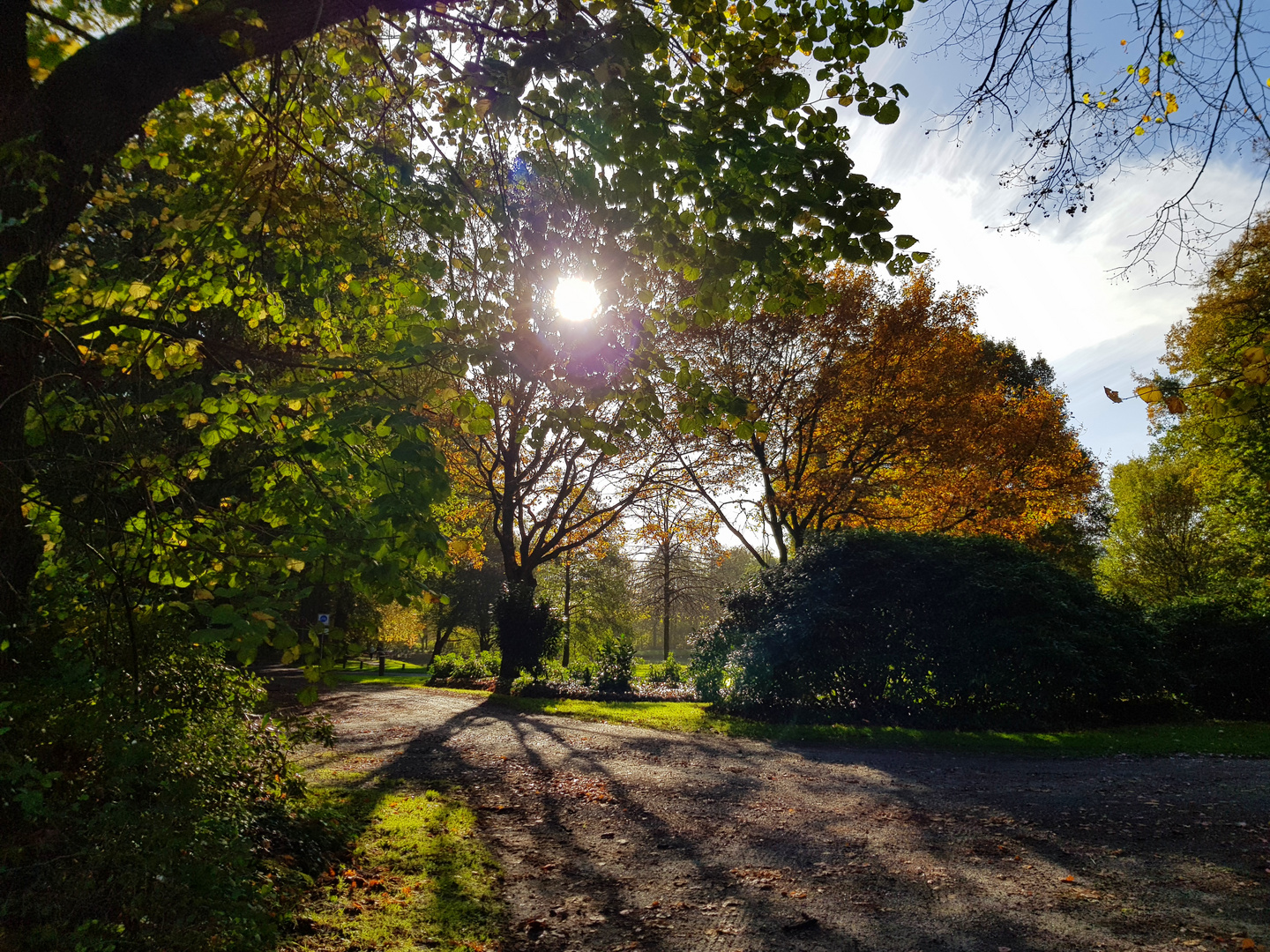 Waldspaziergang