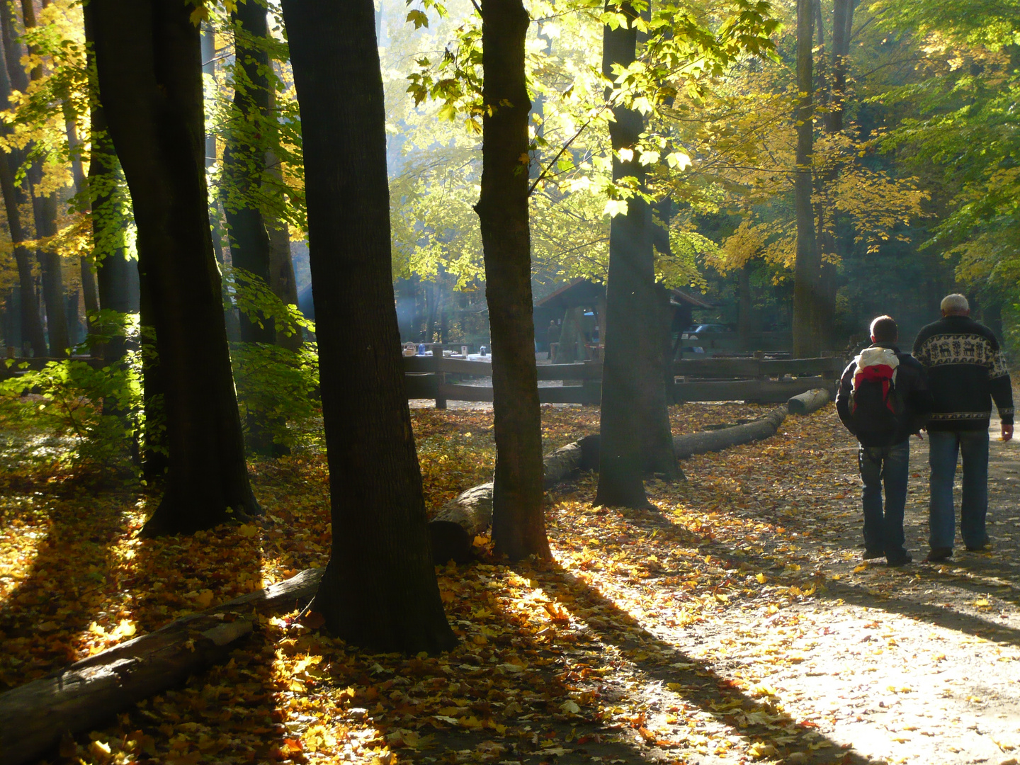 Waldspaziergang 2