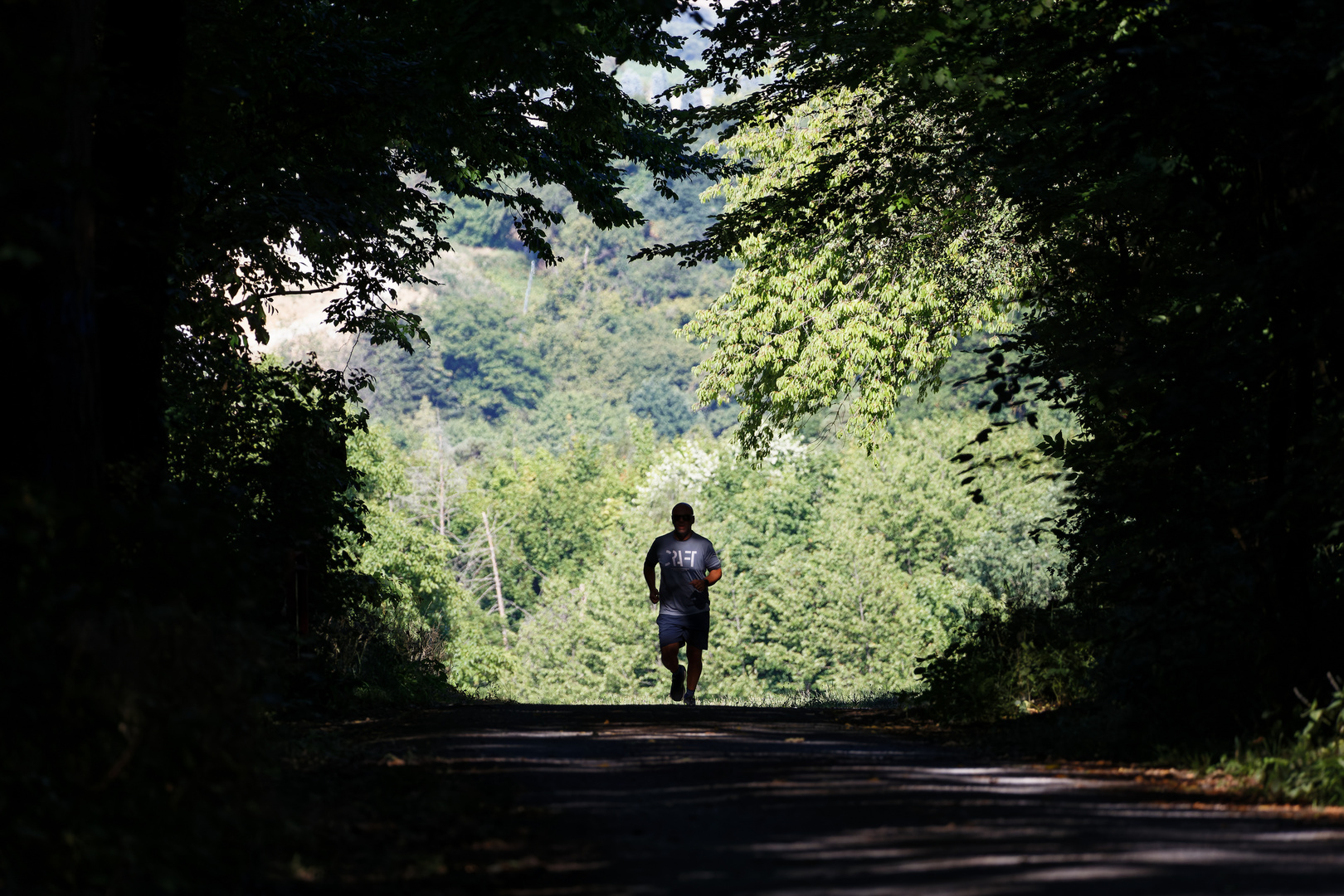 Waldspaziergang