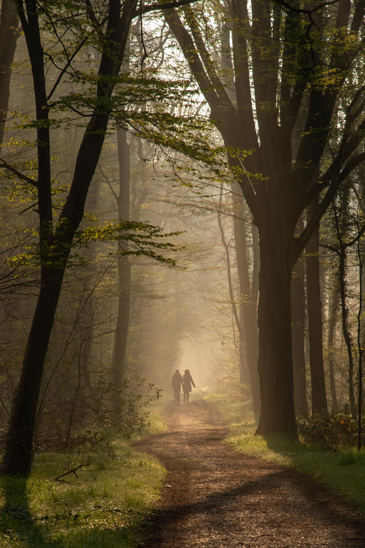 Waldspaziergang