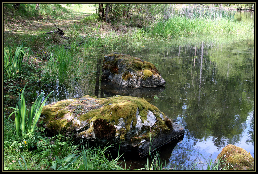 Waldspaziergang