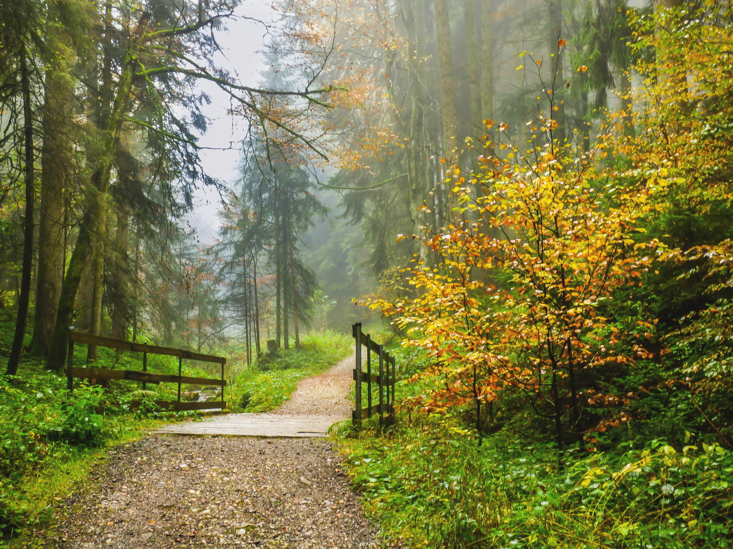 Waldspaziergang