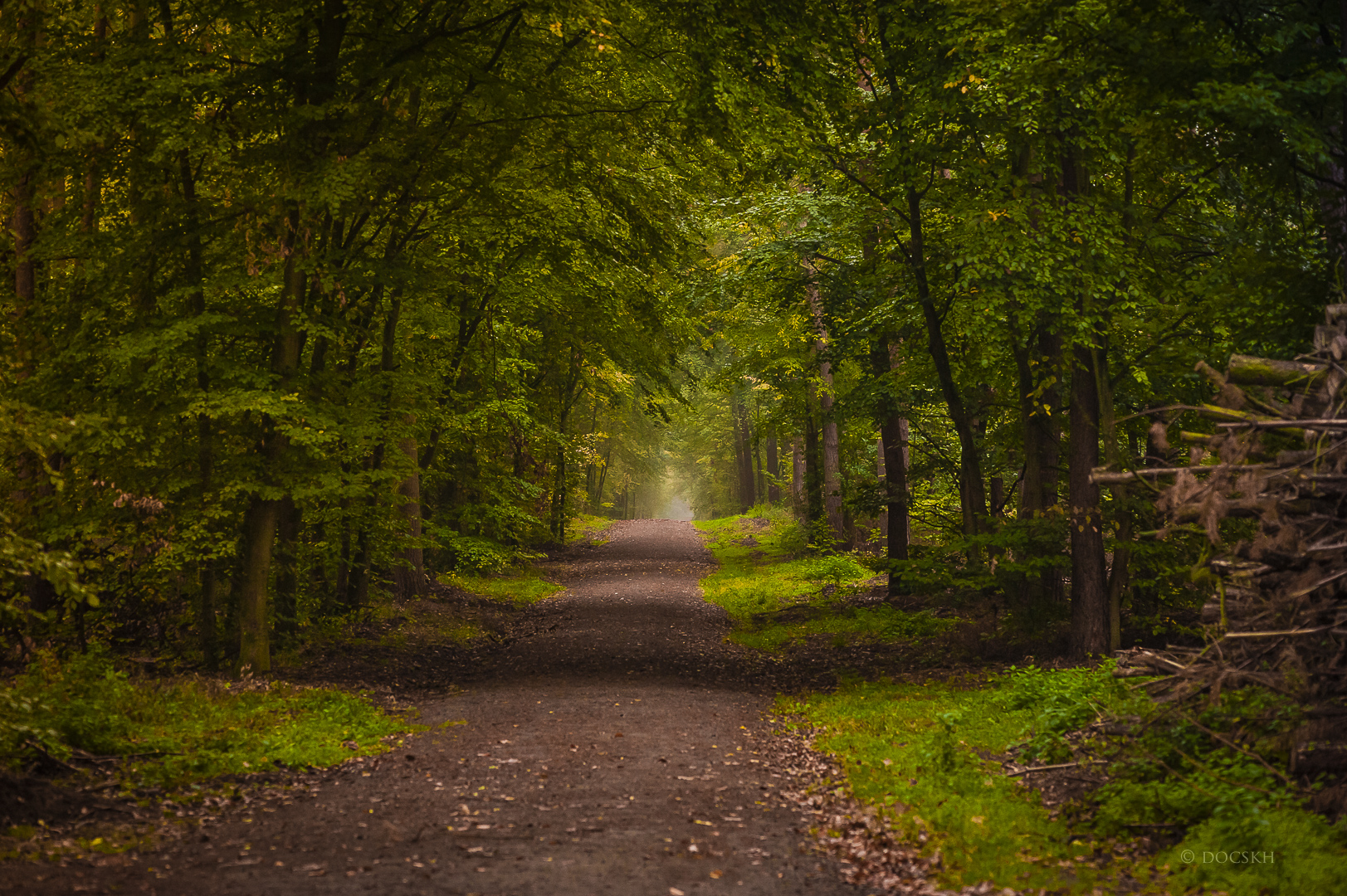 Waldspaziergang