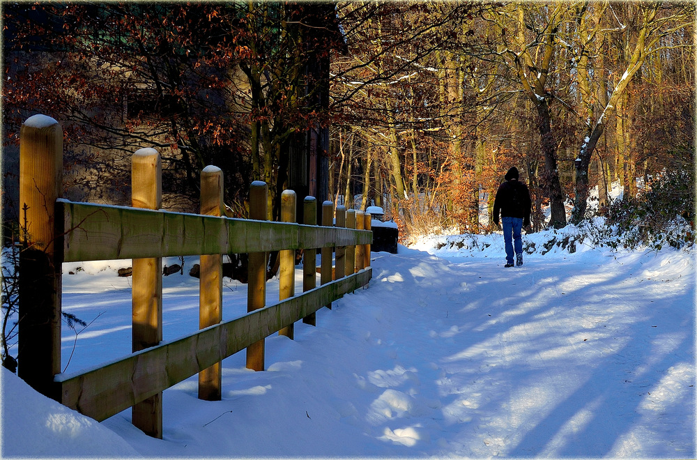 Waldspaziergang