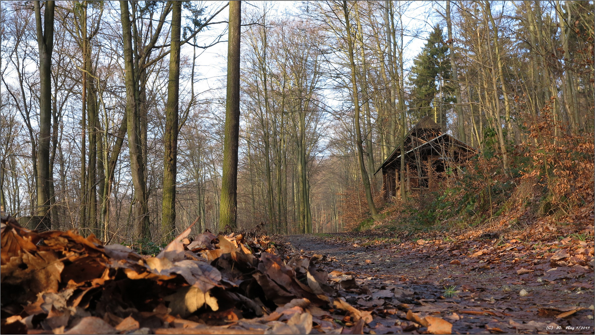 Waldspaziergang...