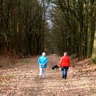 Waldspaziergang