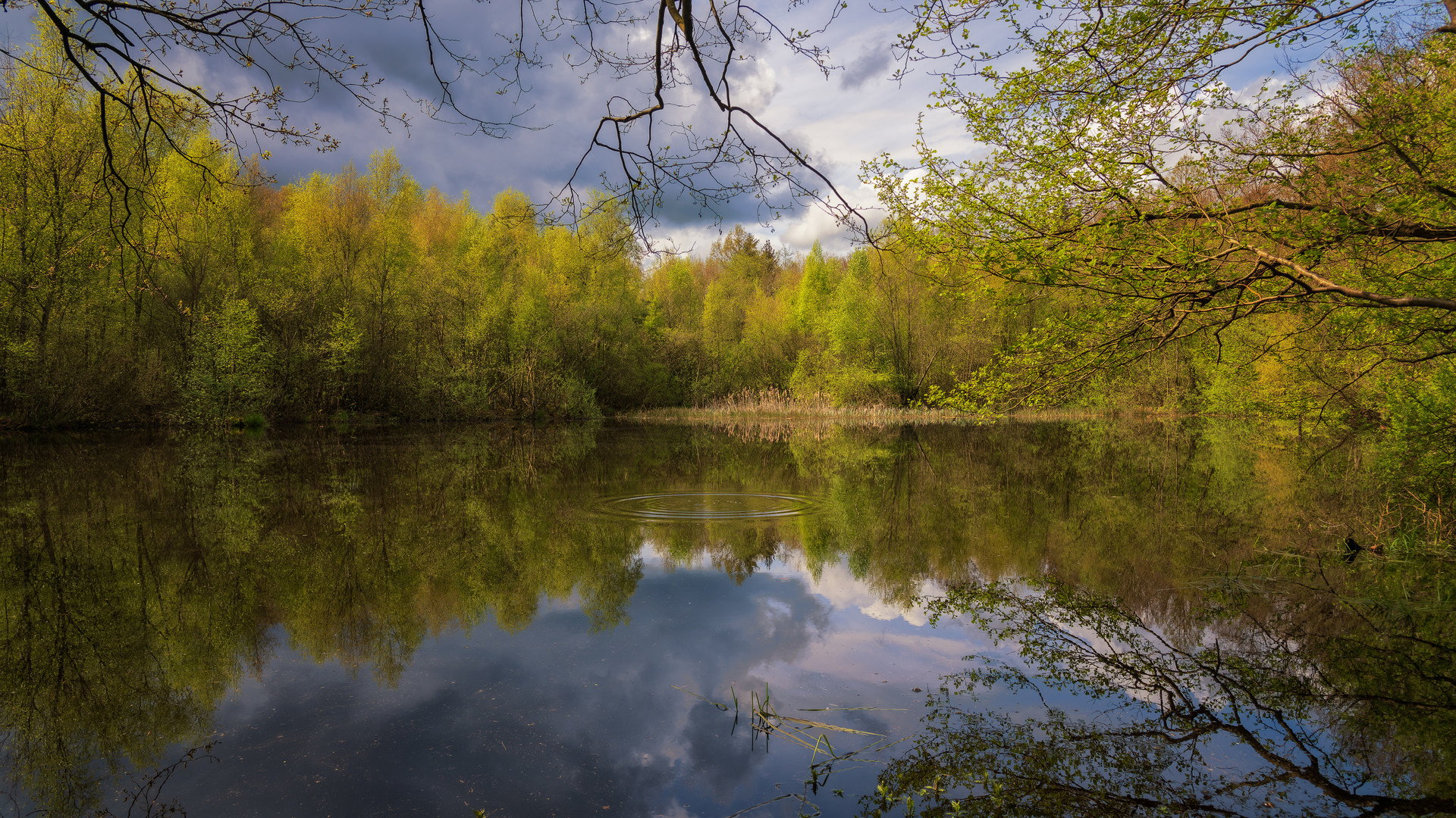 Waldspaziergang 